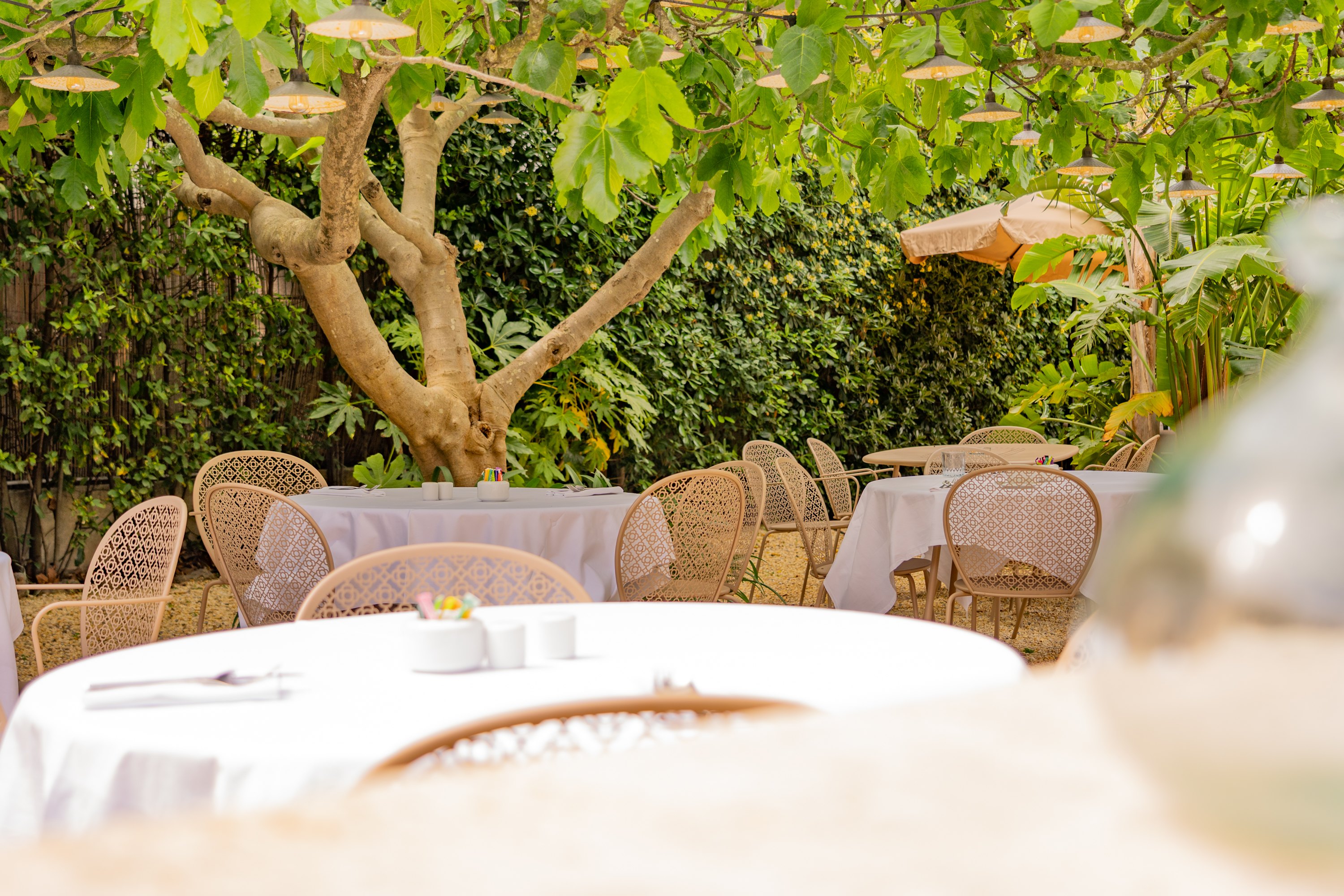 Breakfast through the garden
